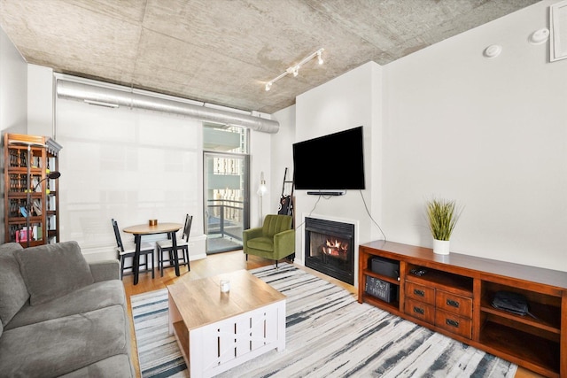 living room with a lit fireplace and wood finished floors