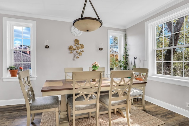 dining room featuring crown molding, baseboards, and wood finished floors