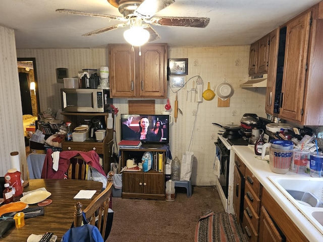 kitchen with light countertops, stainless steel microwave, a sink, under cabinet range hood, and wallpapered walls