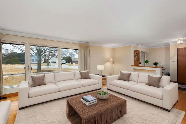 living room featuring crown molding and wood finished floors