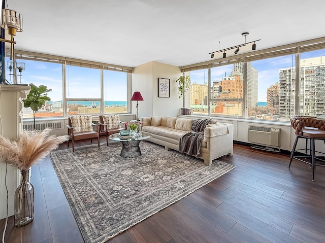 living area with a wall unit AC, a view of city, plenty of natural light, and wood finished floors