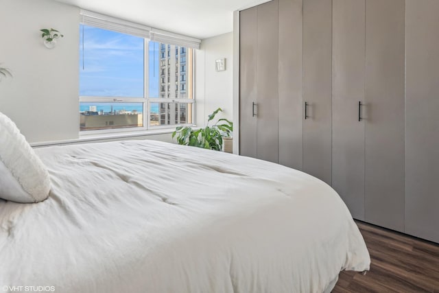 bedroom featuring dark wood finished floors