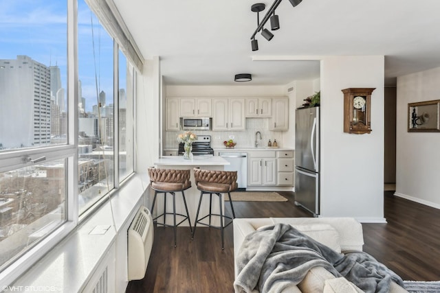 kitchen featuring tasteful backsplash, a breakfast bar area, dark wood finished floors, and stainless steel appliances