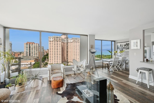 interior space with a view of city, baseboards, and wood finished floors