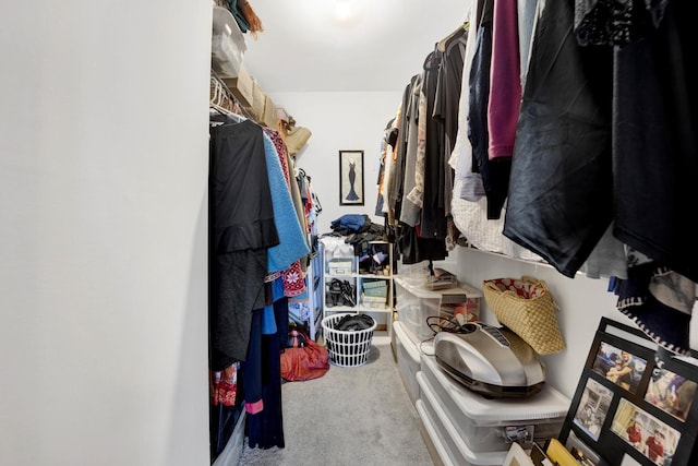 walk in closet with carpet floors