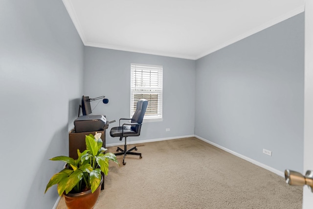 carpeted office space with baseboards and crown molding