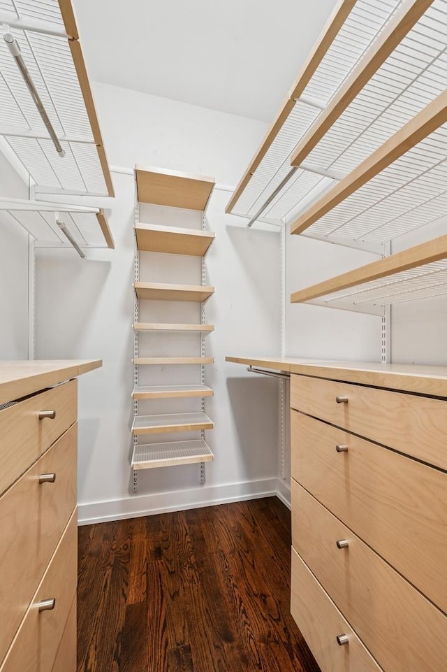 spacious closet with dark wood finished floors