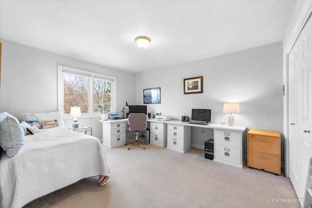 bedroom featuring a closet and light colored carpet