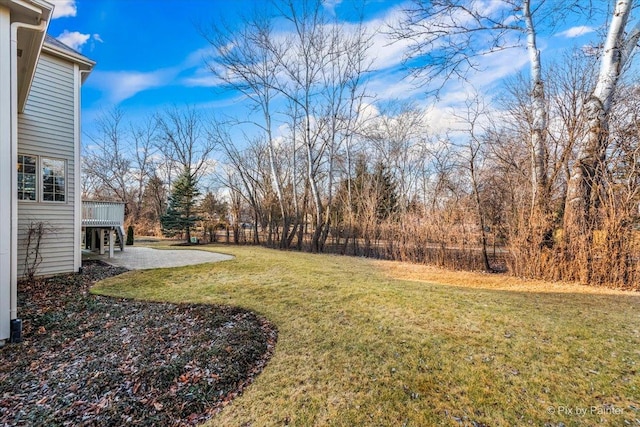 view of yard featuring a patio