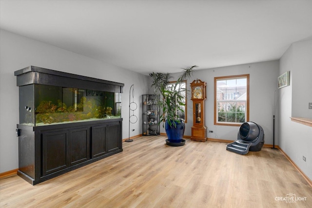 2355 Avalon Ct, Aurora, IL 60503 - unfurnished living room with light wood-style flooring and baseboards