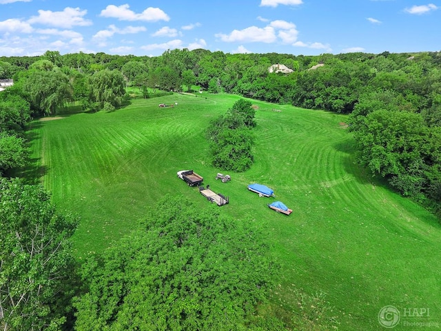 39575 N Dilleys Rd, Wadsworth, IL 60083 - birds eye view of property featuring a wooded view