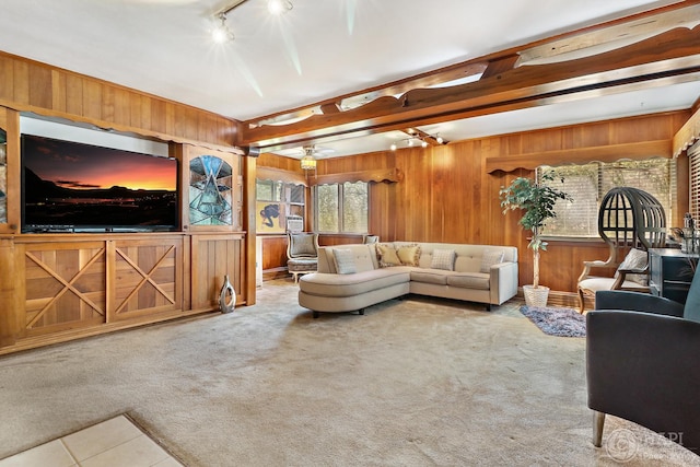 39575 N Dilleys Rd, Wadsworth, IL 60083 - living room featuring wood walls, tile patterned flooring, track lighting, and carpet floors