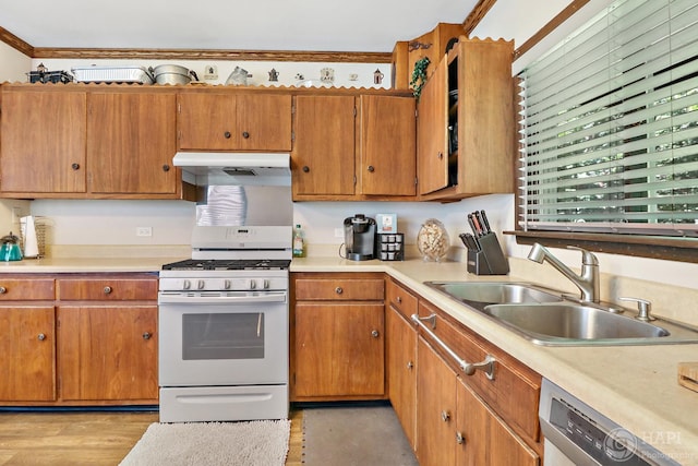 39575 N Dilleys Rd, Wadsworth, IL 60083 - kitchen with light countertops, white gas range, under cabinet range hood, dishwashing machine, and a sink