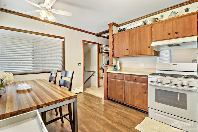 39575 N Dilleys Rd, Wadsworth, IL 60083 - kitchen with white gas stove, brown cabinetry, a ceiling fan, under cabinet range hood, and light wood finished floors