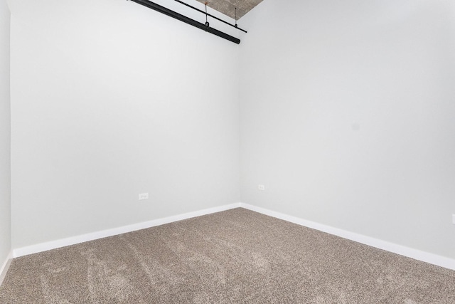 spacious closet featuring carpet flooring