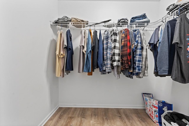 walk in closet featuring wood finished floors