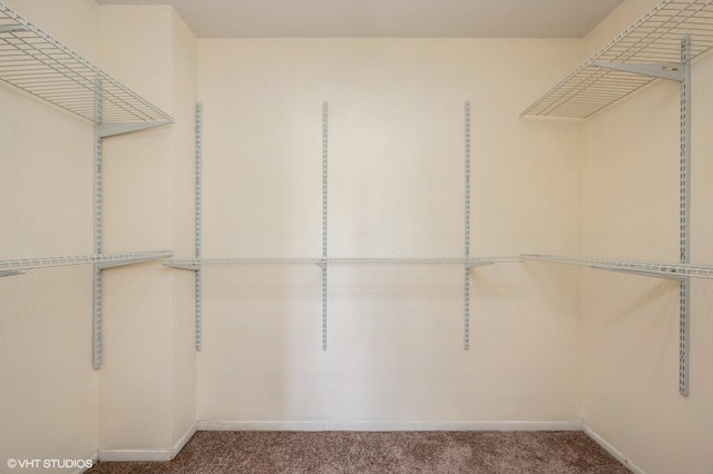 1501 E Churchill Dr Unit 104, Palatine, IL 60074 - spacious closet featuring carpet
