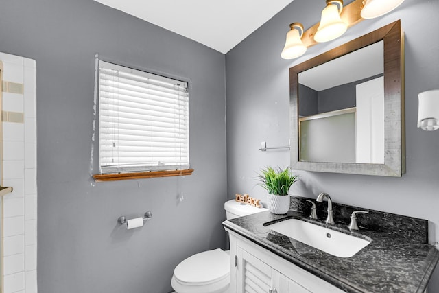 bathroom featuring a shower, vanity, and toilet