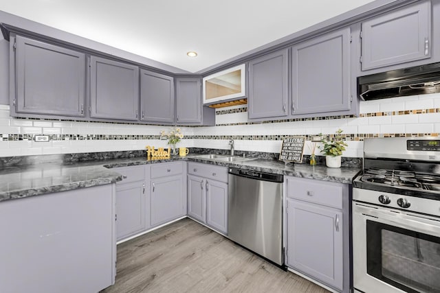 kitchen featuring backsplash, appliances with stainless steel finishes, a sink, light wood-type flooring, and under cabinet range hood