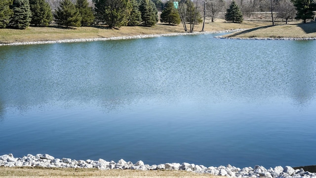 property view of water