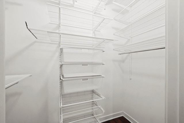 spacious closet with dark wood-style flooring