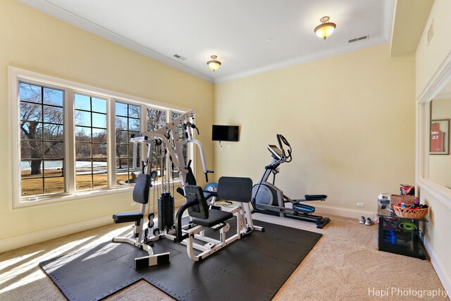 25696 W Chatham Rd, Barrington, IL 60010 - photo 57