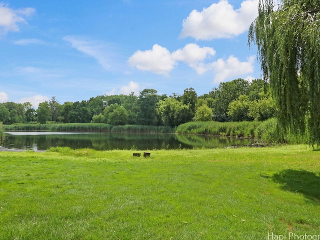 25696 W Chatham Rd, Barrington, IL 60010 - photo 8