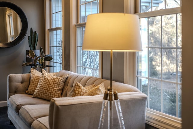 living room with a wealth of natural light