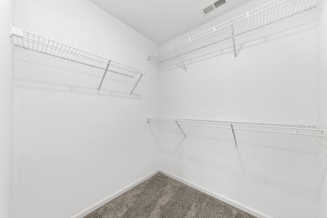 walk in closet featuring carpet and visible vents