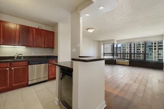30 E Huron St Unit 3210, Chicago, IL 60611 - photo 15