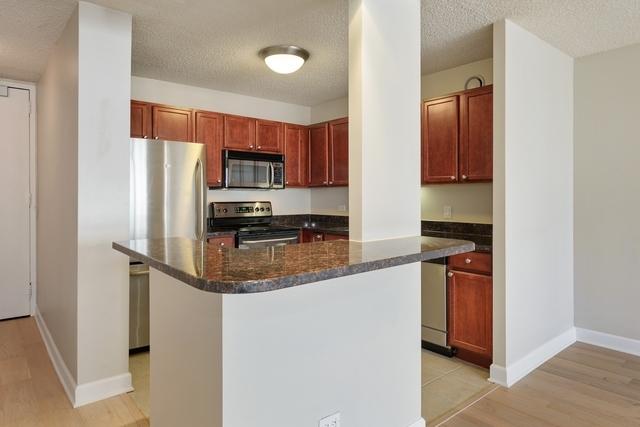 30 E Huron St Unit 3210, Chicago, IL 60611 - photo 16