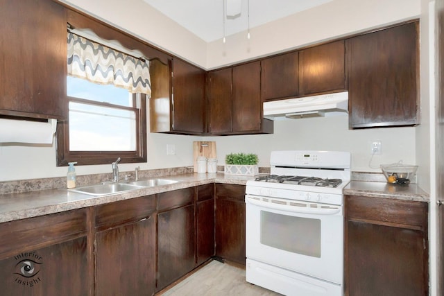 kitchen featuring under cabinet range hood, a sink, dark brown cabinets, light countertops, and white gas range