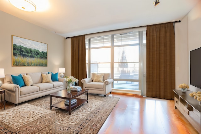 living area featuring a wall of windows and light wood-style flooring