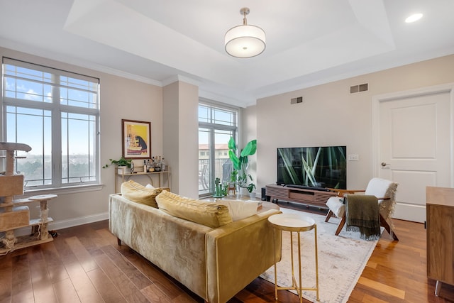 living room with a raised ceiling, visible vents, and a healthy amount of sunlight