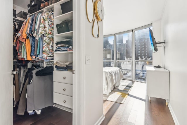 spacious closet with dark wood finished floors