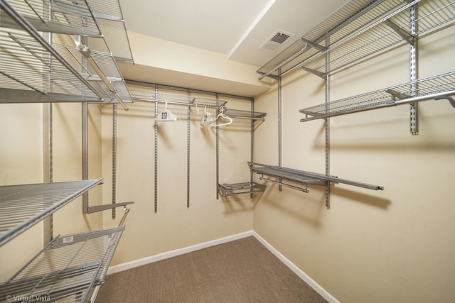 walk in closet featuring visible vents and carpet floors