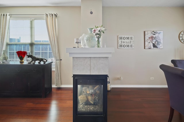 interior space with a fireplace, baseboards, and wood finished floors