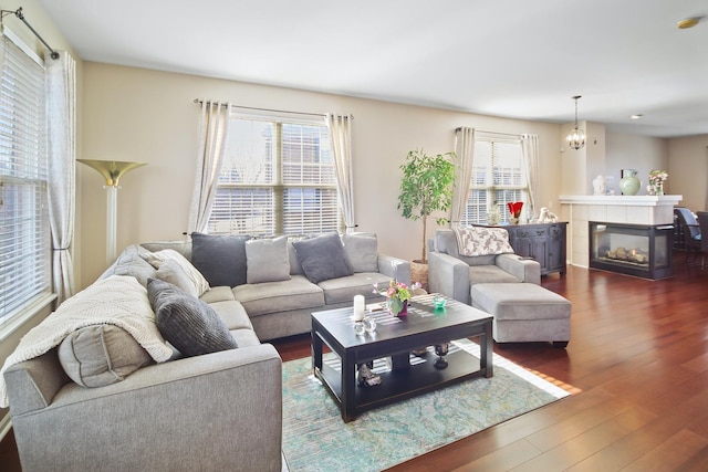 living room featuring dark wood-style floors, a wealth of natural light, a chandelier, and a fireplace