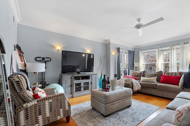 living area featuring crown molding, a ceiling fan, and wood finished floors