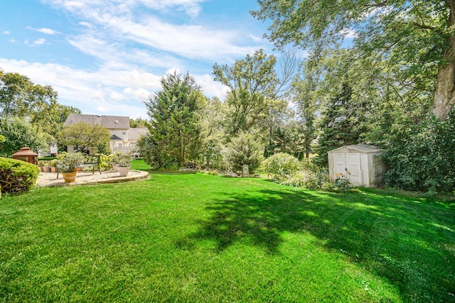 view of yard with a patio area, a storage unit, and an outdoor structure