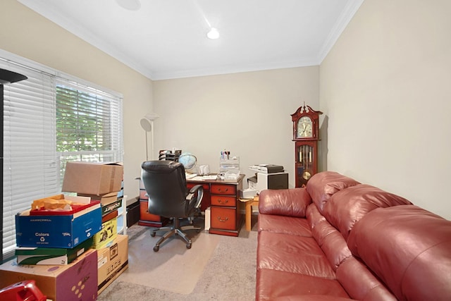 office featuring carpet and ornamental molding