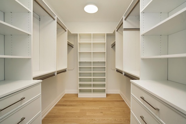 spacious closet featuring light wood-style flooring