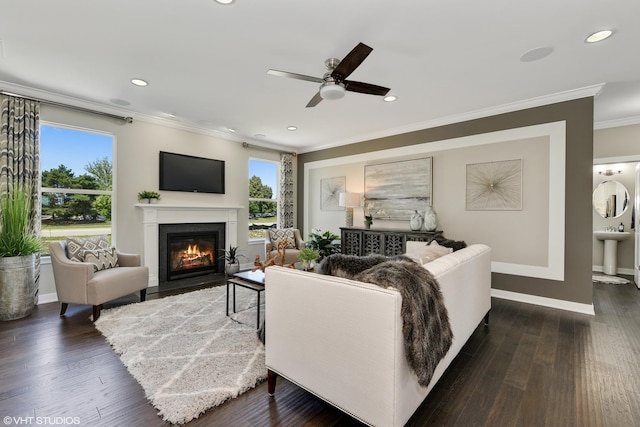 living area featuring plenty of natural light, dark wood finished floors, and crown molding