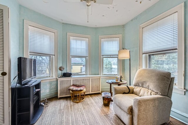 living area with ceiling fan, radiator heating unit, and wood finished floors