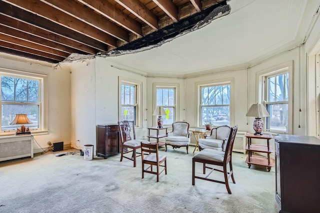 living area featuring radiator and carpet