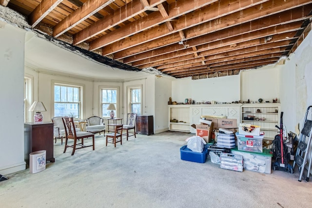 basement with carpet