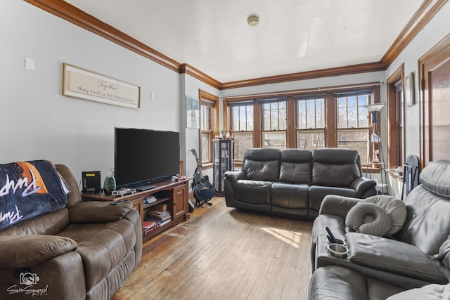 living area featuring hardwood / wood-style floors and crown molding