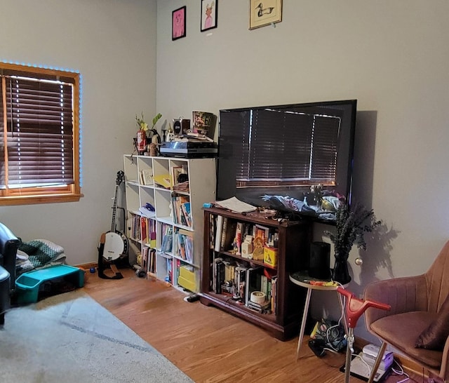 living area with wood finished floors