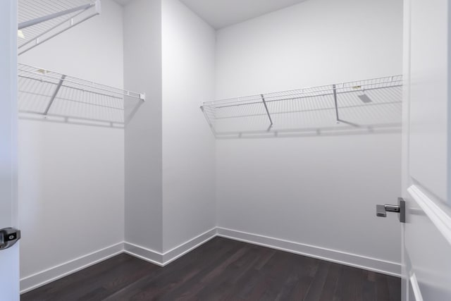 spacious closet with dark wood-style flooring