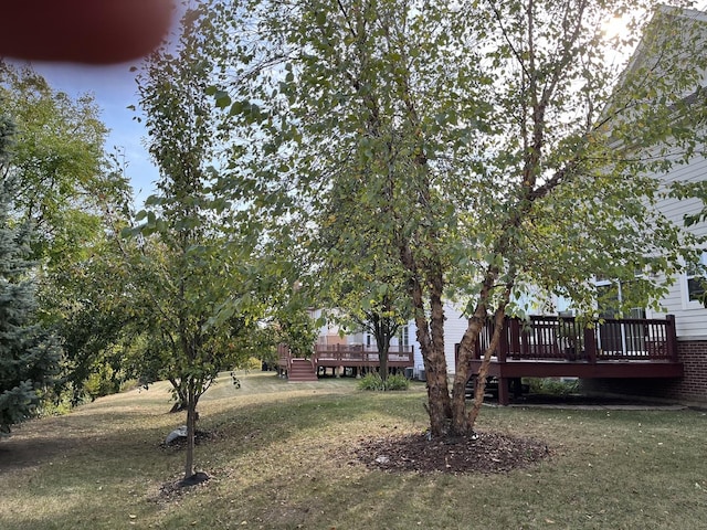 view of yard featuring a deck